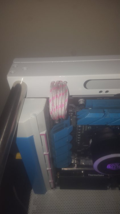 cpu cables.jpg