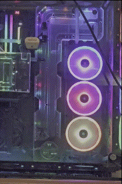 Untitledvideo-MadewithClipchamp.gif.3a328619f40c62e237c02e719a75e658.gif