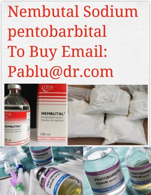 NembutalSodiumpentobarbitaltobuyemail_Pablu@dr.thumb.jpg.0ab03229911fa2eb6ea622acca069155.jpg