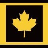 Translation Agency of Cana