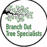 branchouttreespecialistsns