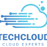 TechCloud IT Services LLC