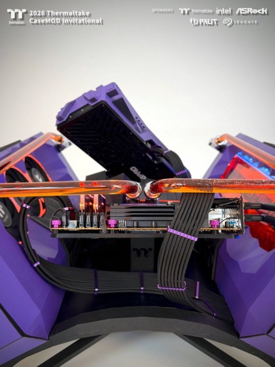 IMG_0331.jpg