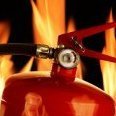 Haseen Habib Trading