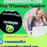 Buy Whatsapp Number